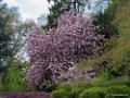 Bloemen en Het Park